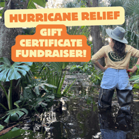 Image 1 of Hurricane Relief Gift Certificate Fundraiser 