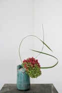 IKEBANA WORKSHOP with Auralynn Nguyen | Saturday Dec. 7th | 4-6PM