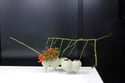 IKEBANA WORKSHOP with Auralynn Nguyen | Saturday Dec. 7th | 4-6PM