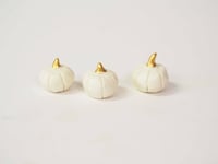 White pumpkins - 1 pc