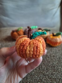 Image 4 of Mini Knitted Pumpkins (Set of 6)