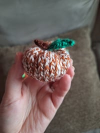 Image 11 of Mini Knitted Pumpkins (Set of 6)