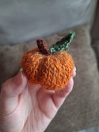 Image 3 of Mini Knitted Pumpkins (Set of 6)