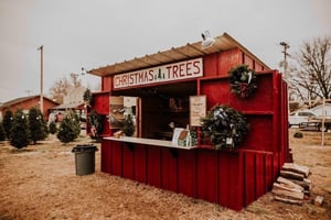 Image of Town Square Trees Christmas Minis + St Mary's