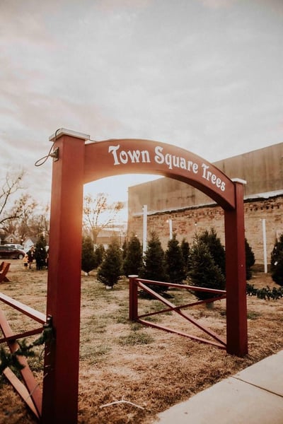 Image of Town Square Trees Christmas Minis + St Mary's