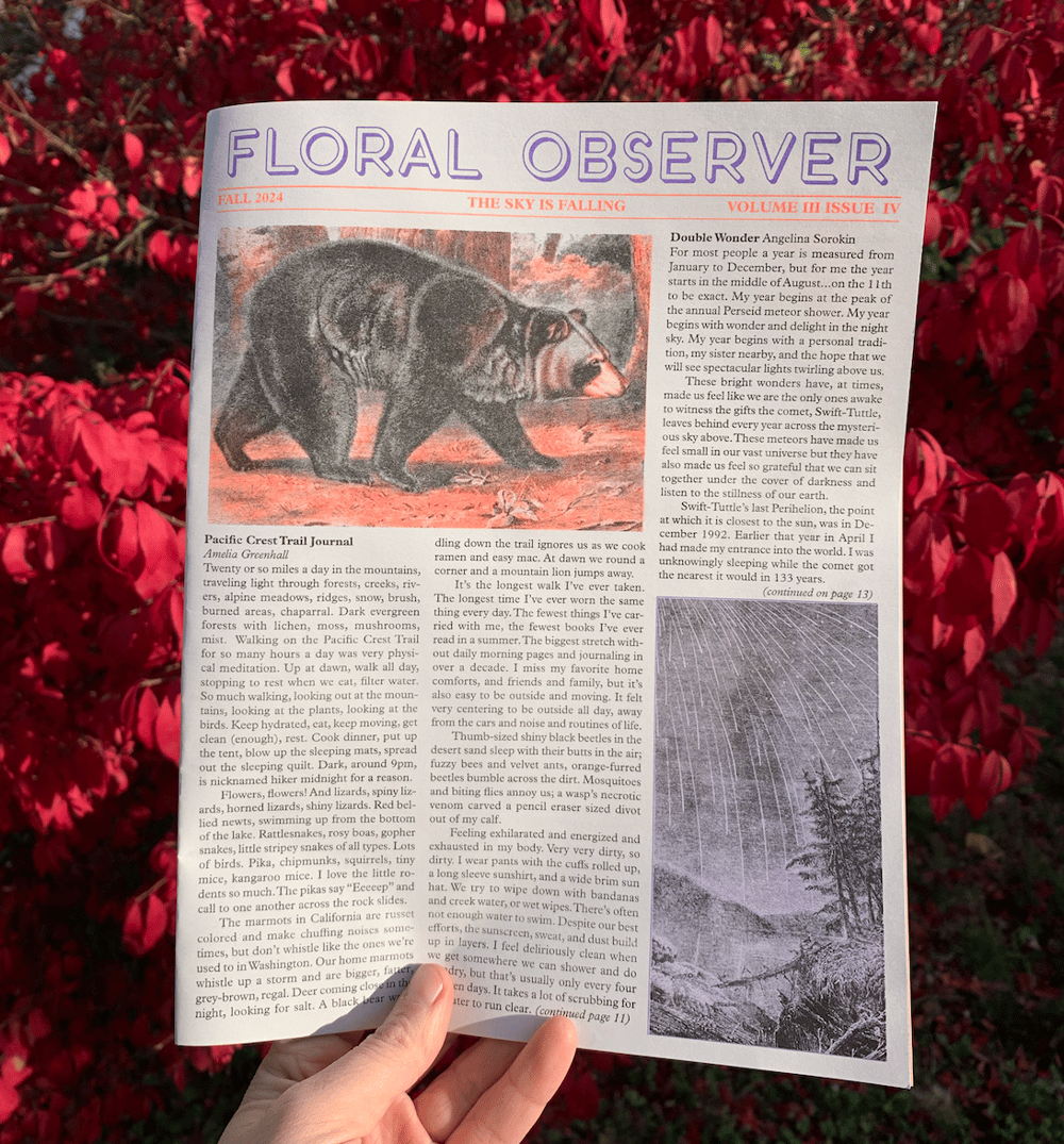 FALL FLORAL OBSERVER 2024