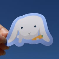 Image 1 of carrot secured