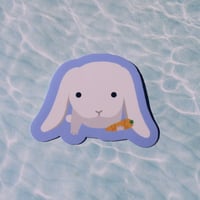 Image 3 of carrot secured