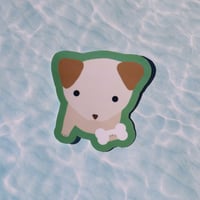 Image 3 of bone secured