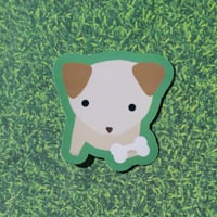 Image 1 of bone secured