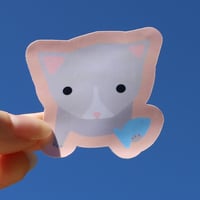 Image 2 of fish secured