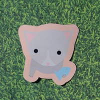 Image 3 of fish secured