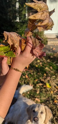 Bead Bracelets