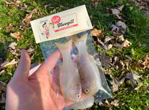 Image of Bob’s Bluegill (Threadfin)