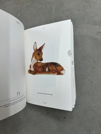 Image 7 of PIG 05049 - Christien Meindertsma [first edition]