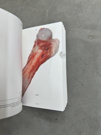 Image 12 of PIG 05049 - Christien Meindertsma [first edition]