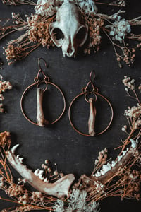 Image 1 of Copper Bone Hoop ear hangers