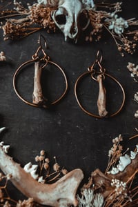 Image 3 of Copper Bone Hoop ear hangers