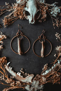 Image 4 of Copper Bone Hoop ear hangers