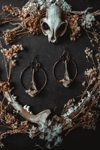 Image 4 of Vertebra Copper Hoop earrings