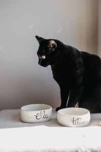 Image 5 of Comedero personalizado para mascotas, con el nombre y la ilustración de tu peludin
