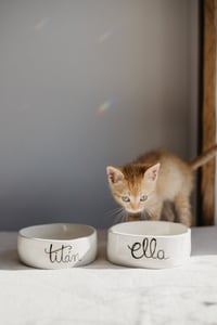 Image 10 of Comedero personalizado para mascotas, con el nombre y la ilustración de tu peludin