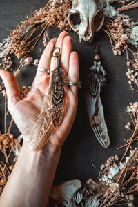 Image 4 of Mismatched Feather earrings