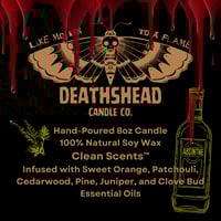 Image 3 of The Vampire Lestat