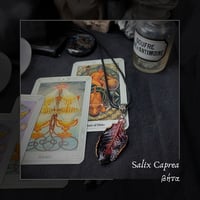 Image 3 of ☽ Salix Caprea ☾