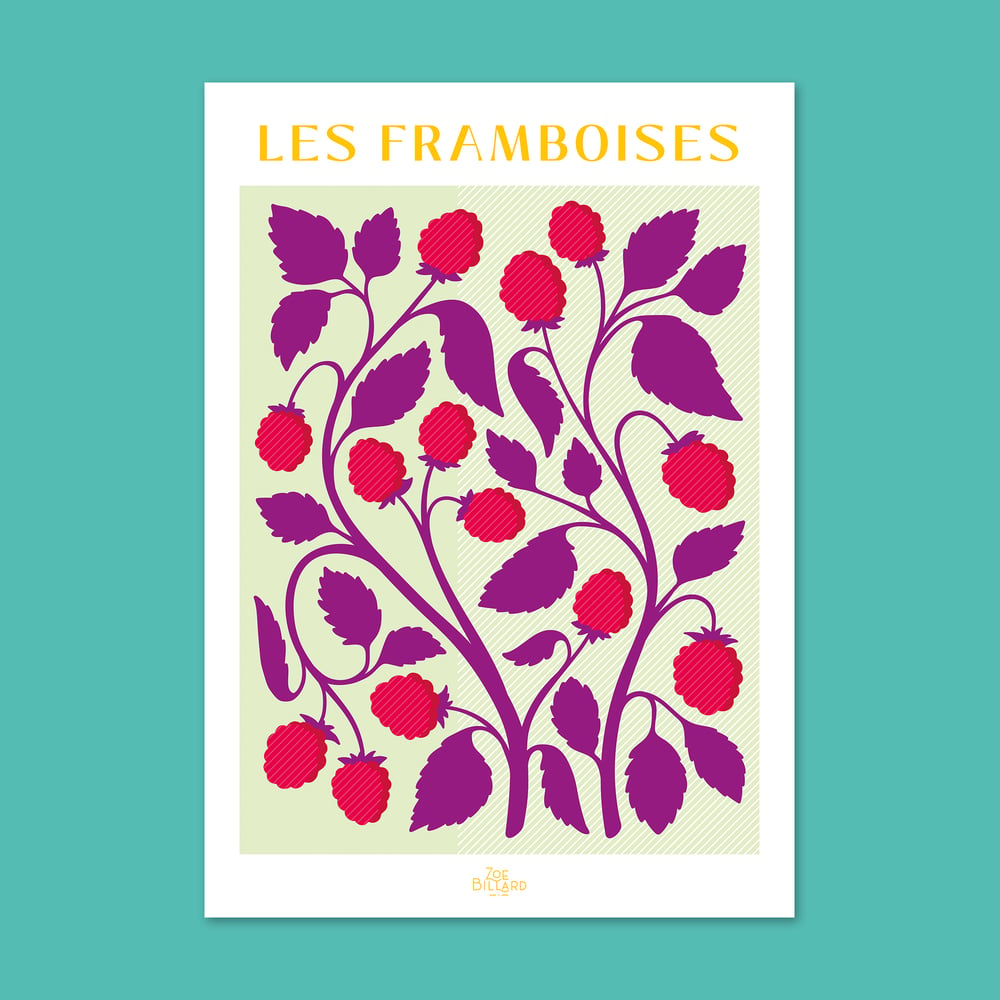 Image of Pack de 4 - Les Framboises - Les Myrtilles - Les Mûres - Les Fraises