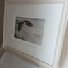 Eagle's Wings with cream frame