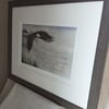 Eagle's Wings with Mocha Frame