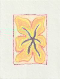 Flower #1 – Oil Pastel Drawing