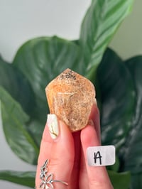 Image 1 of RUTILE X GARDEN QUARTZ FREEFORM GUSHERS -BRAZIL-