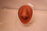 Simple Septum
