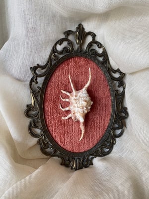 Image of Création unique : grand cadre avec coquillage Lambi