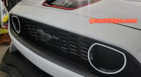 Mach 1 Mustang Snorkel intake Overlay