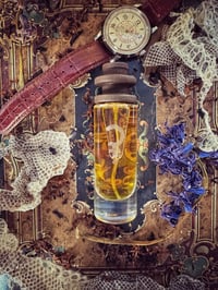 Image 1 of Humidors of Perception - 30ml