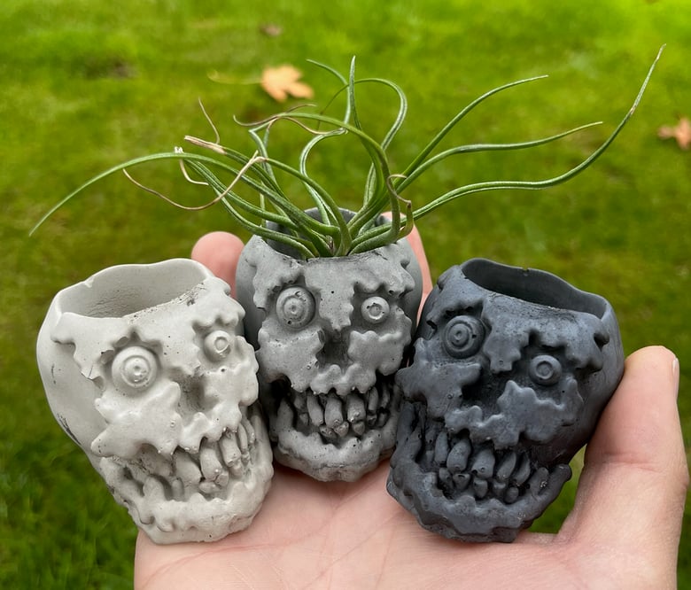 Image of Concrete Planters