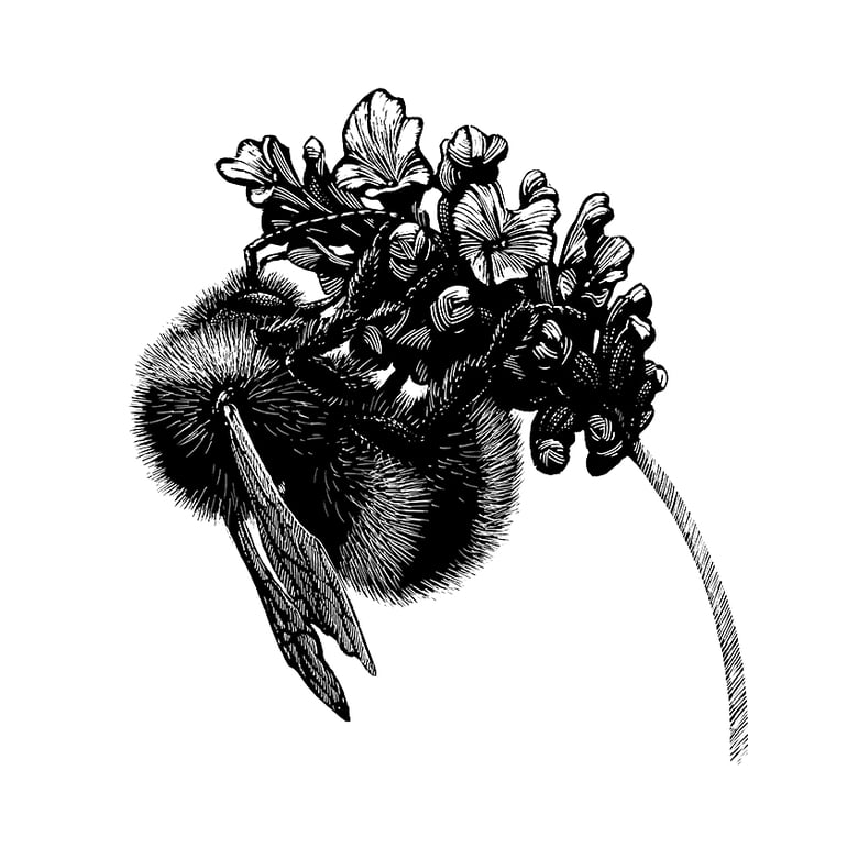 Image of »Gartenhummel« Screen Print