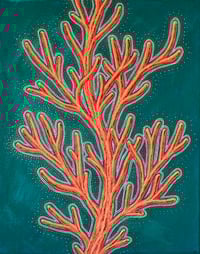 Image 1 of Tranquil Coral