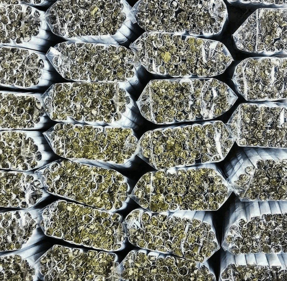 Image of Organic Herbal 100pk