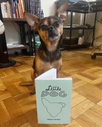 Little Dog Zine