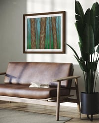 Image 5 of Rainbow Eucalyptus