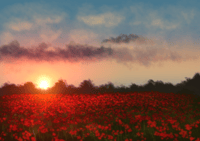 Image 1 of Flower Field Sunset