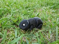 Image 4 of Guinea Pigs