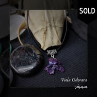 Image 4 of ☽ Viola Odorata ☾