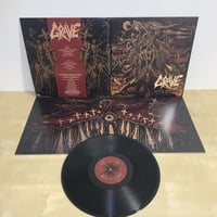 Image 2 of Grave "Endless procession of souls" LP