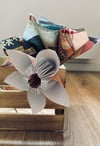 Flower BOX