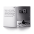 Image 2 of Escritos en el transporte público